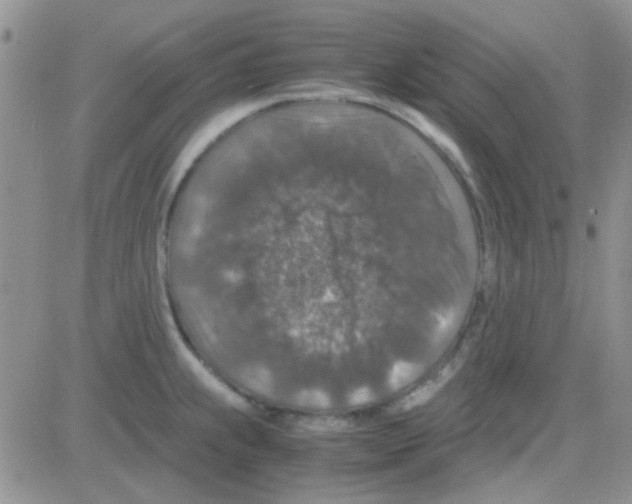 X0000082721239200702232313