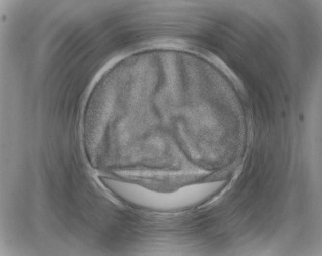 X0000082721240200702232313