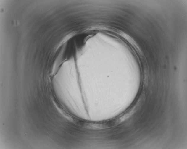 X0000082721241200702232313