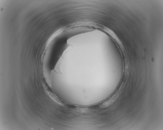 X0000082721242200702232313