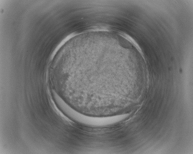 X0000082721243200702232313