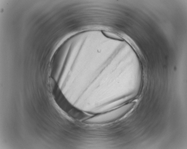 X0000082721244200702232313