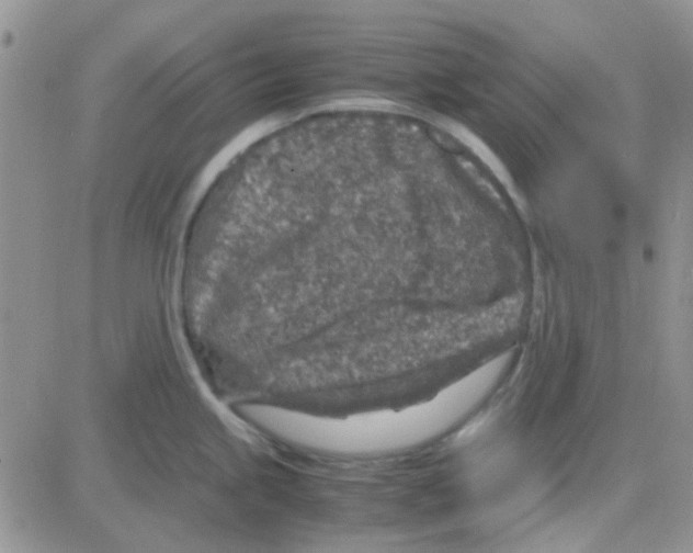 X0000082721245200702232313