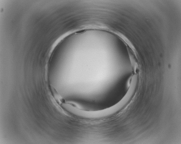 X0000082721246200702232313