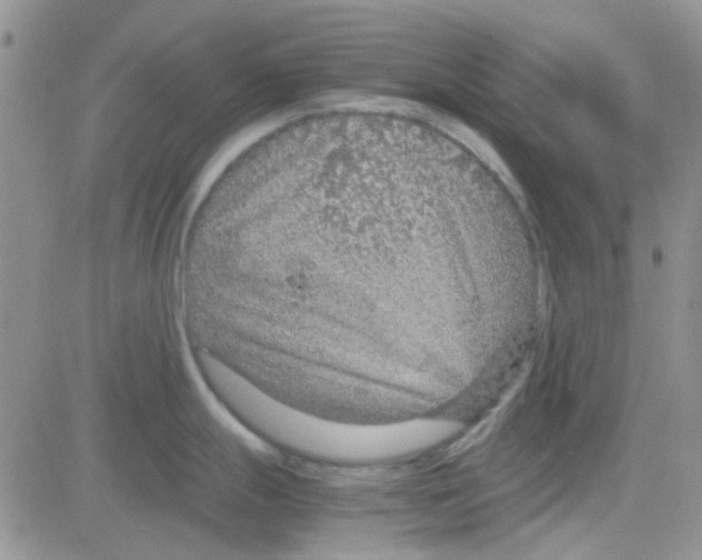 X0000082721247200702232313