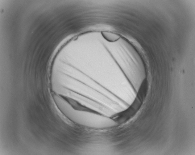 X0000082721248200702232313