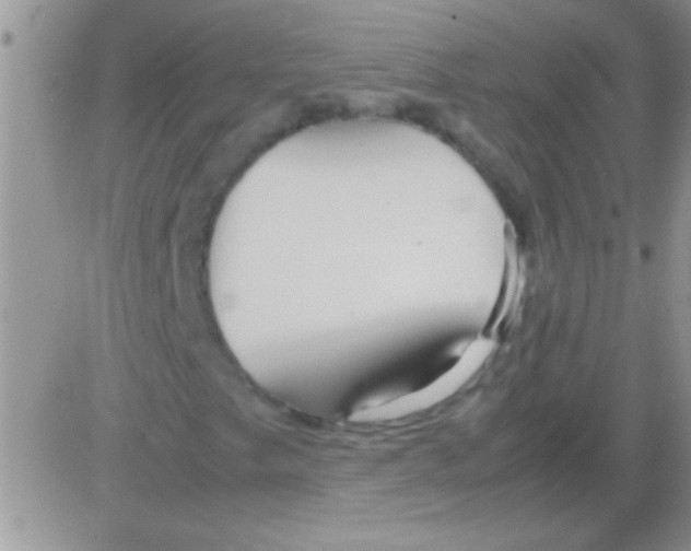 X0000082721249200702232313