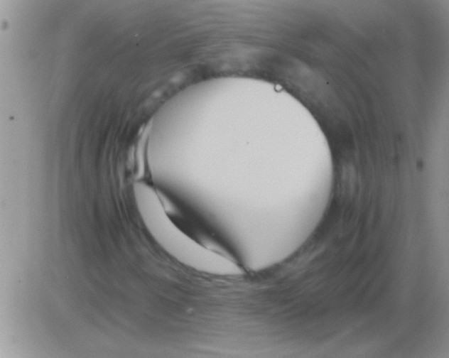 X0000082721250200702232313