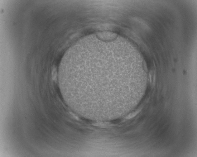 X0000082721251200702232313