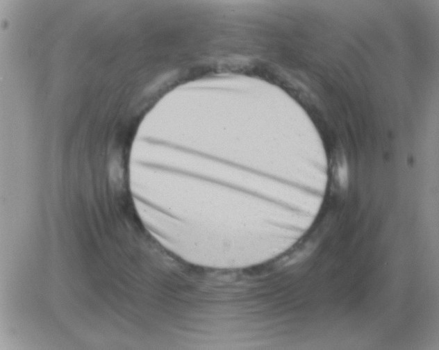 X0000082721252200702232313