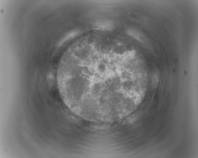 X0000082721254200702232313