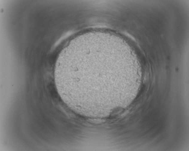 X0000082721255200702232313