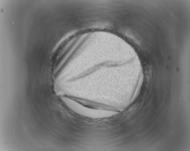 X0000082721256200702232312