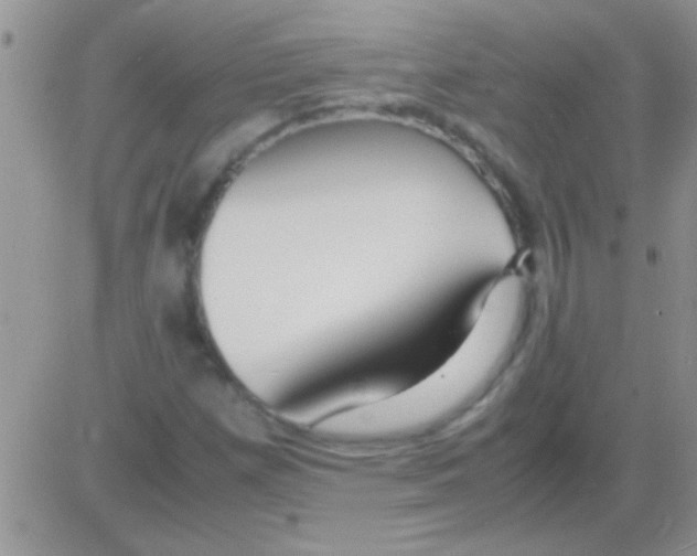 X0000082721257200702232312