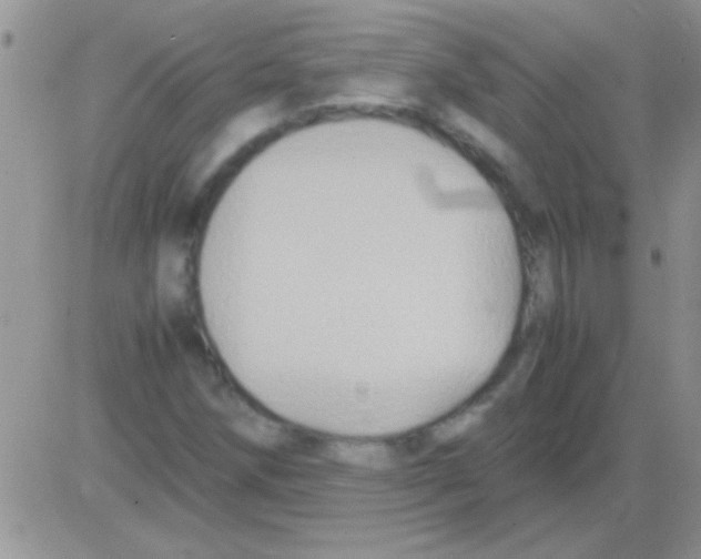 X0000082721258200702232312