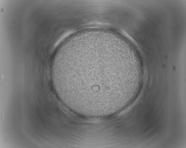 X0000082721259200702232312