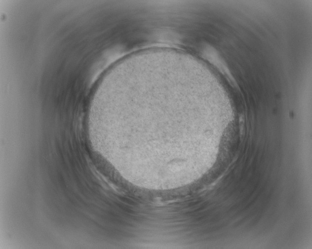 X0000082721260200702232312