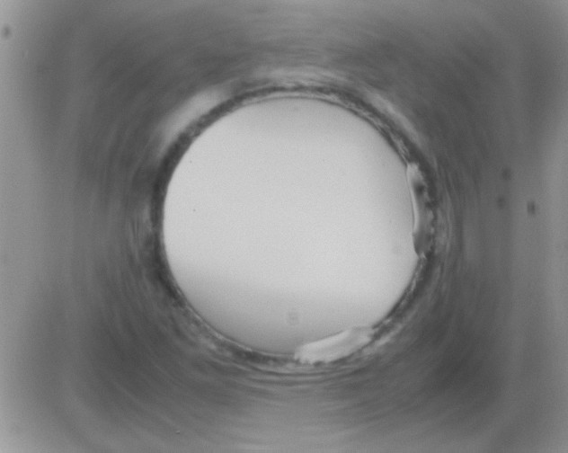 X0000082721261200702232312