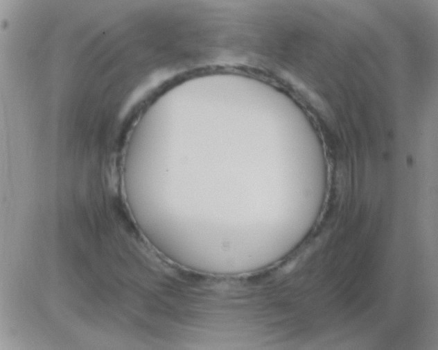 X0000082721262200702232312