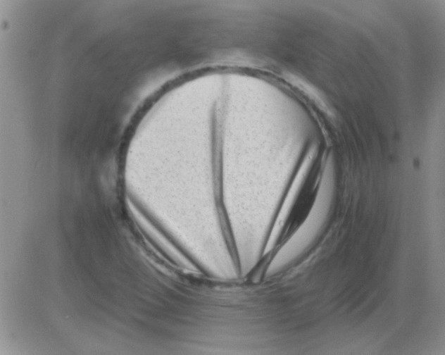 X0000082721264200702232312