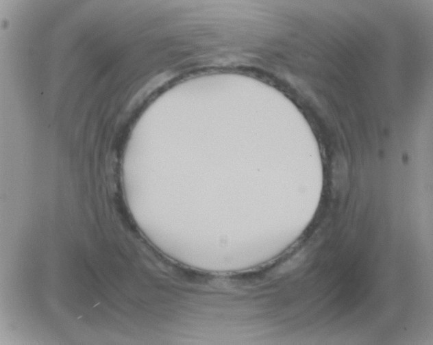 X0000082721265200702232312