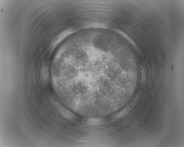 X0000082721266200702232312