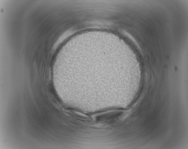 X0000082721267200702232312