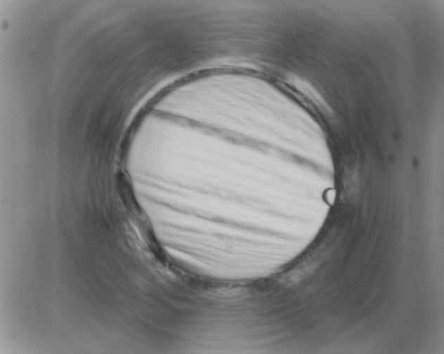 X0000082721268200702232312