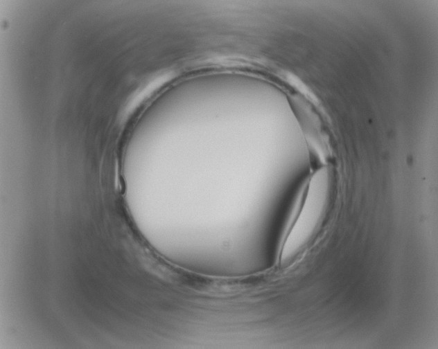 X0000082721269200702232312