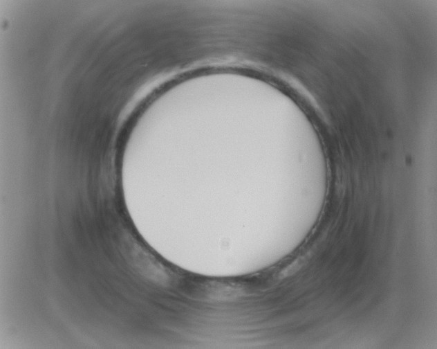 X0000082721270200702232312