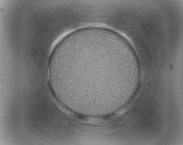 X0000082721271200702232312