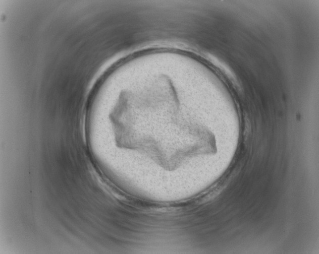 X0000082721272200702232312