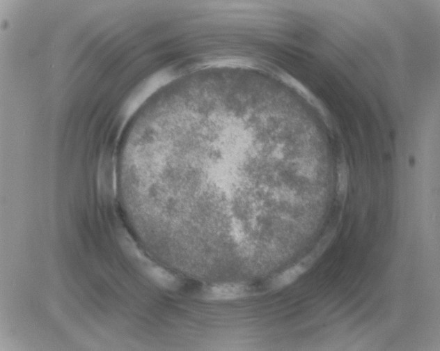 X0000082721274200702232312