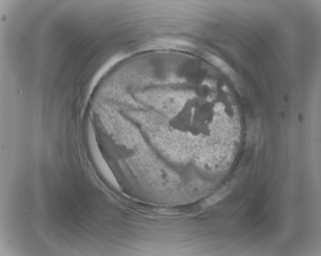 X0000082721275200702232312