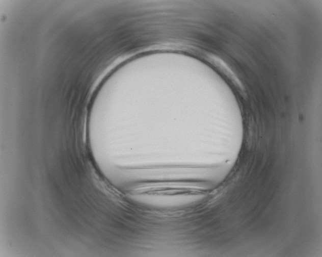 X0000082721276200702232312