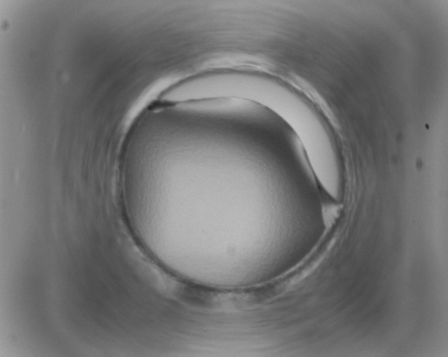 X0000082721277200702232312