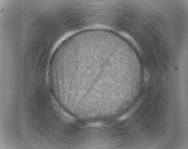 X0000082721278200702232312