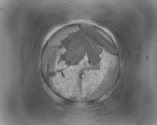 X0000082721279200702232312