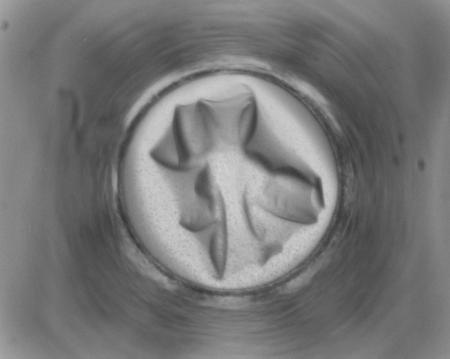 X0000082721280200702232312