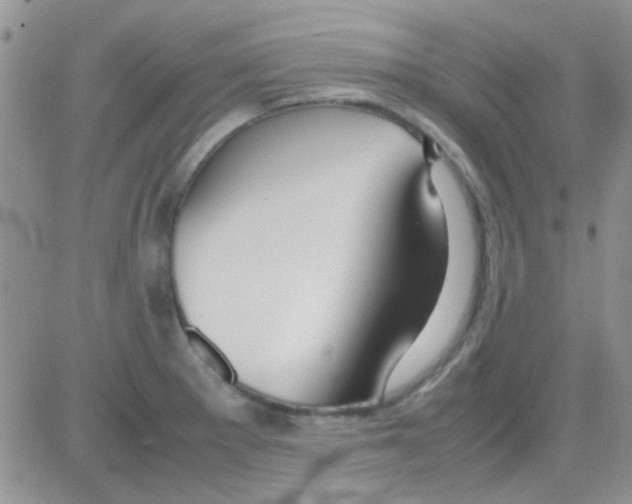 X0000082721281200702232312