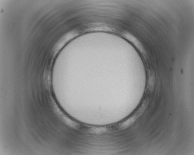 X0000082721282200702232312