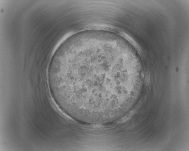 X0000082721283200702232312