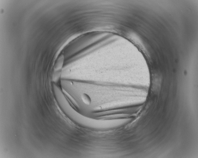 X0000082721284200702232312