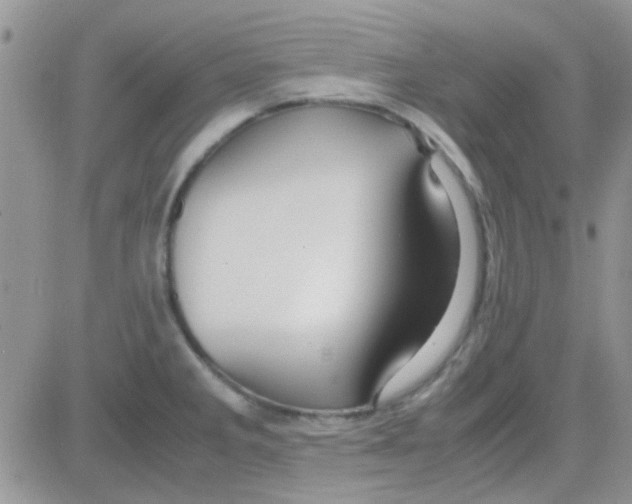 X0000082721285200702232312