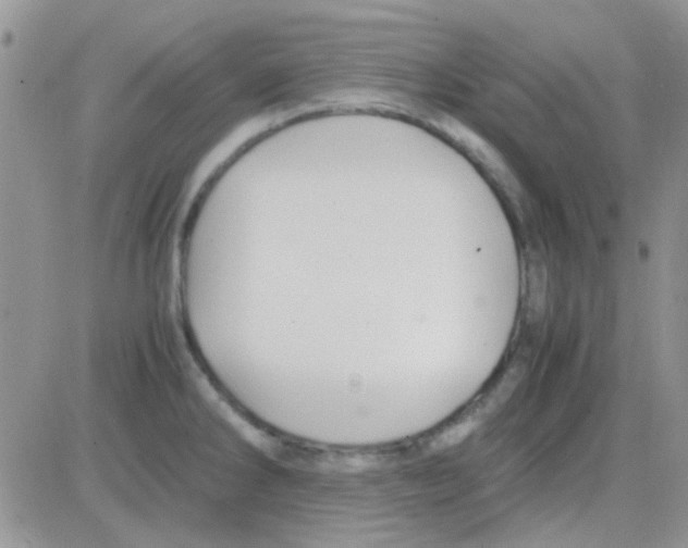 X0000082721286200702232312