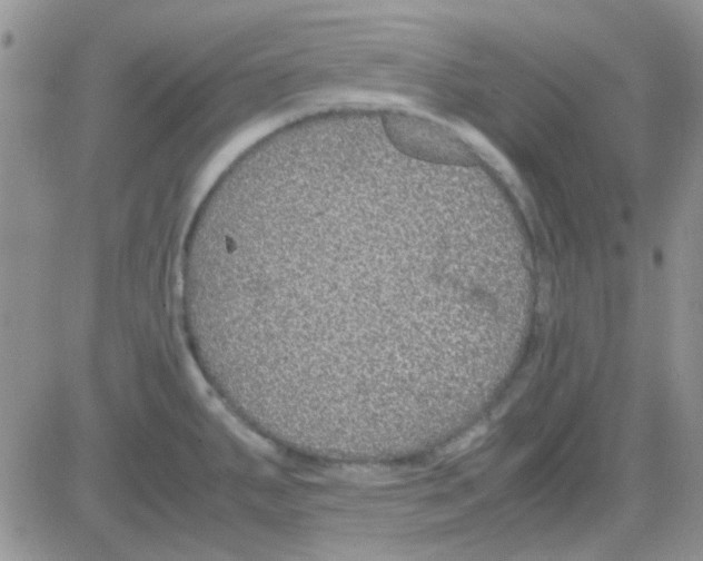 X0000082721287200702232312