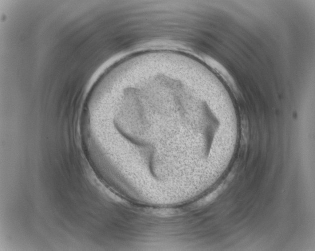 X0000082721288200702232312