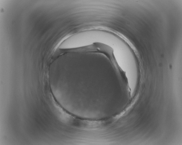 X0000082721289200702232312