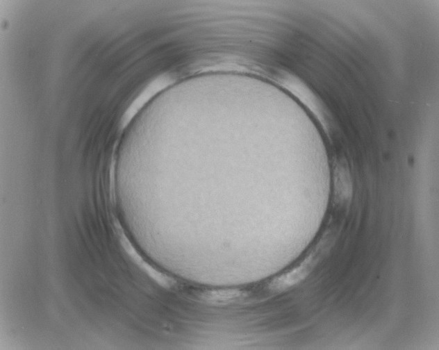 X0000082721290200702232312