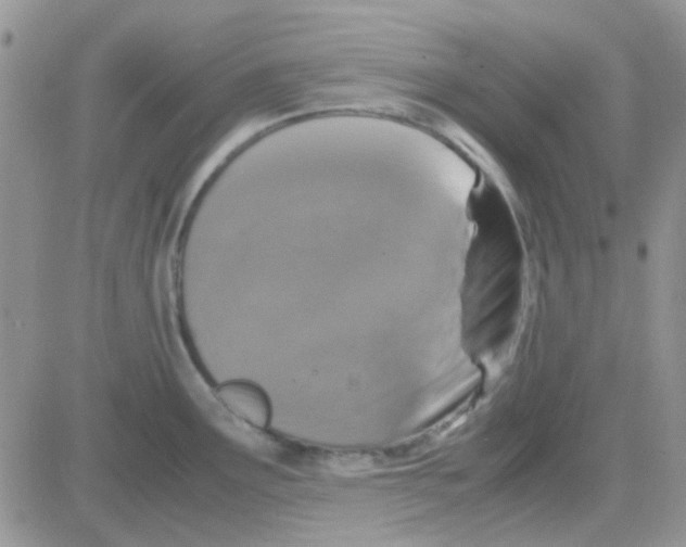 X0000082721291200702232312